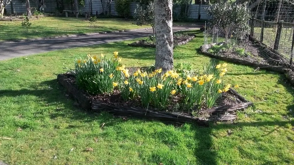 Rosie'S Rotorua Homestay