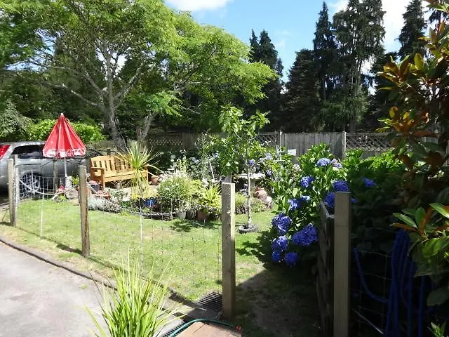 Rosie'S Rotorua Homestay